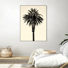 Palm Tree 1996 (Tan) by Erik Asla on GIANT ART - multicolor photography; contemporary