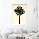 Palm Tree 1996 (Tan) by Erik Asla on GIANT ART - multicolor photography; contemporary