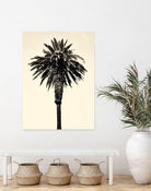 Palm Tree 1996 (Tan) by Erik Asla on GIANT ART - multicolor photography; contemporary