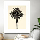Palm Tree 1996 (Tan) by Erik Asla on GIANT ART - multicolor photography; contemporary