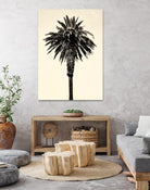 Palm Tree 1996 (Tan) by Erik Asla on GIANT ART - multicolor photography; contemporary