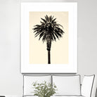 Palm Tree 1996 (Tan) by Erik Asla on GIANT ART - multicolor photography; contemporary