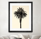 Palm Tree 1996 (Tan) by Erik Asla on GIANT ART - multicolor photography; contemporary