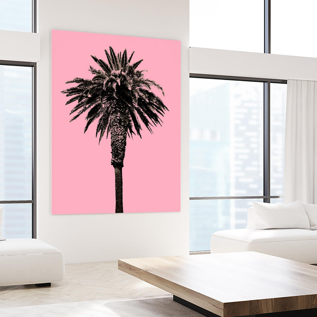 Palm Tree 1996 (Pink) by Erik Asla on GIANT ART - multicolor photography; contemporary