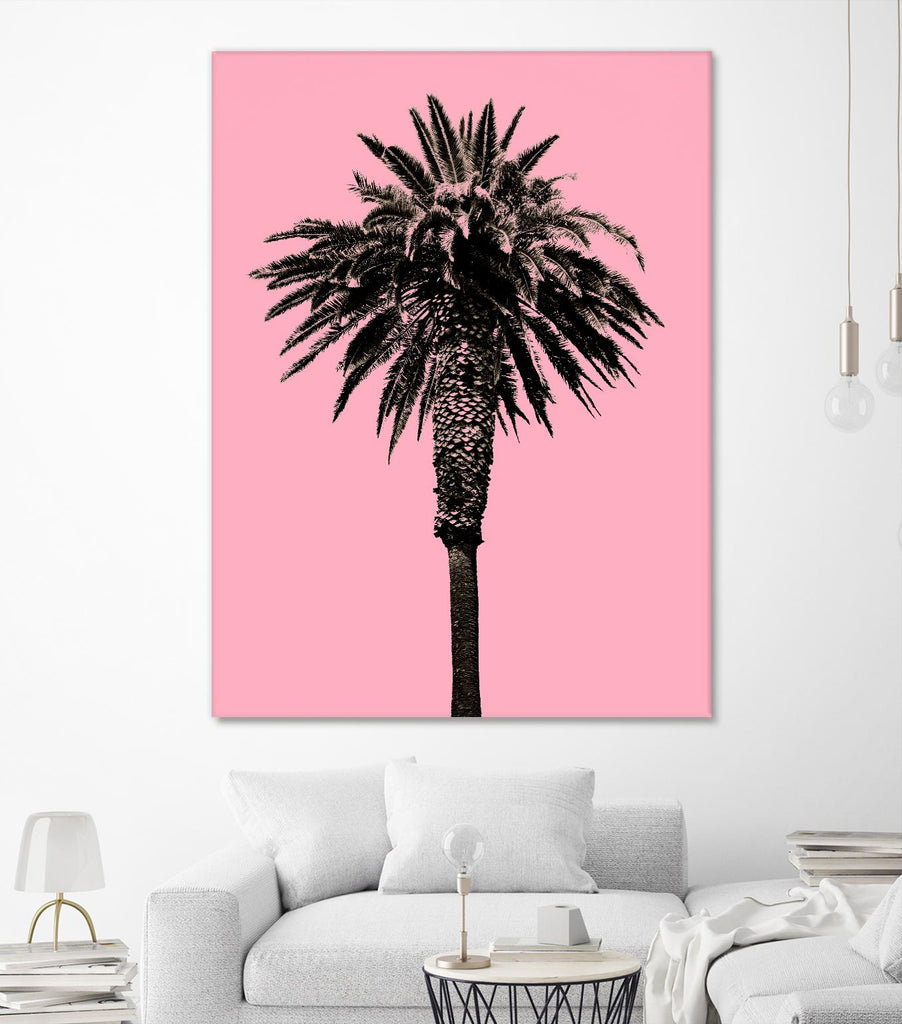 Palm Tree 1996 (Pink) by Erik Asla on GIANT ART - multicolor photography; contemporary