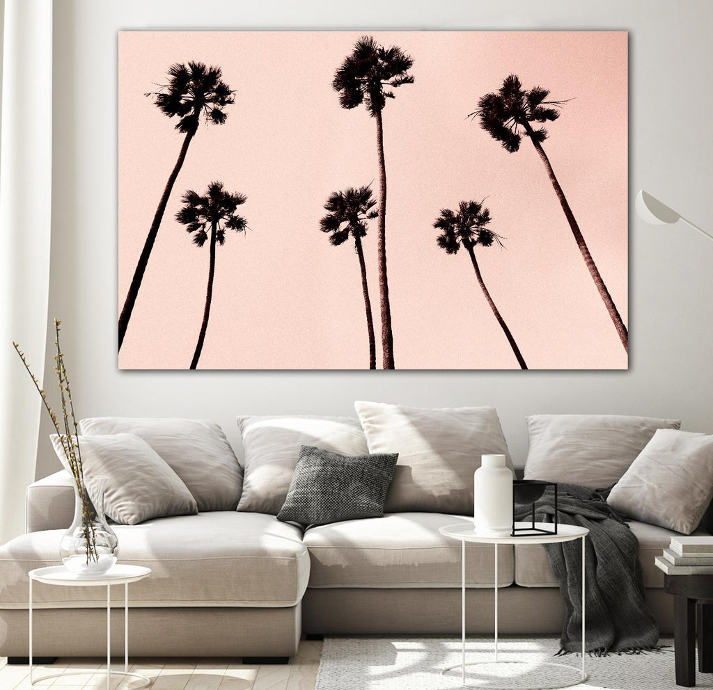 Palm Trees 1997 Copper by Erik Asla on GIANT ART - multicolor photography; contemporary