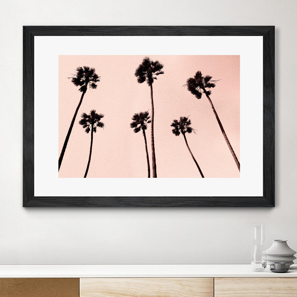 Palm Trees 1997 Copper by Erik Asla on GIANT ART - multicolor photography; contemporary