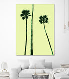 Palm Trees 2000 (Cyan) by Erik Asla on GIANT ART - multicolor photography; contemporary