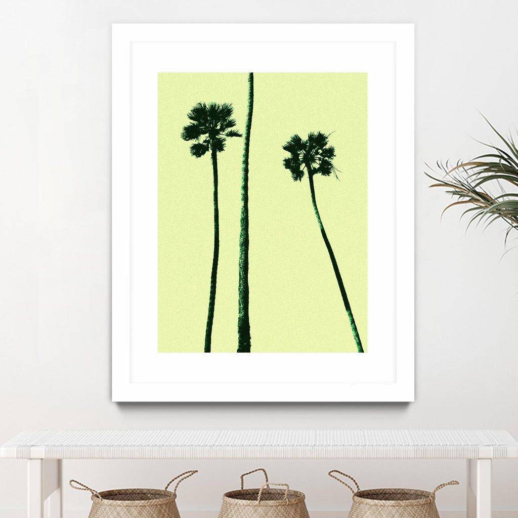 Palm Trees 2000 (Cyan) by Erik Asla on GIANT ART - multicolor photography; contemporary