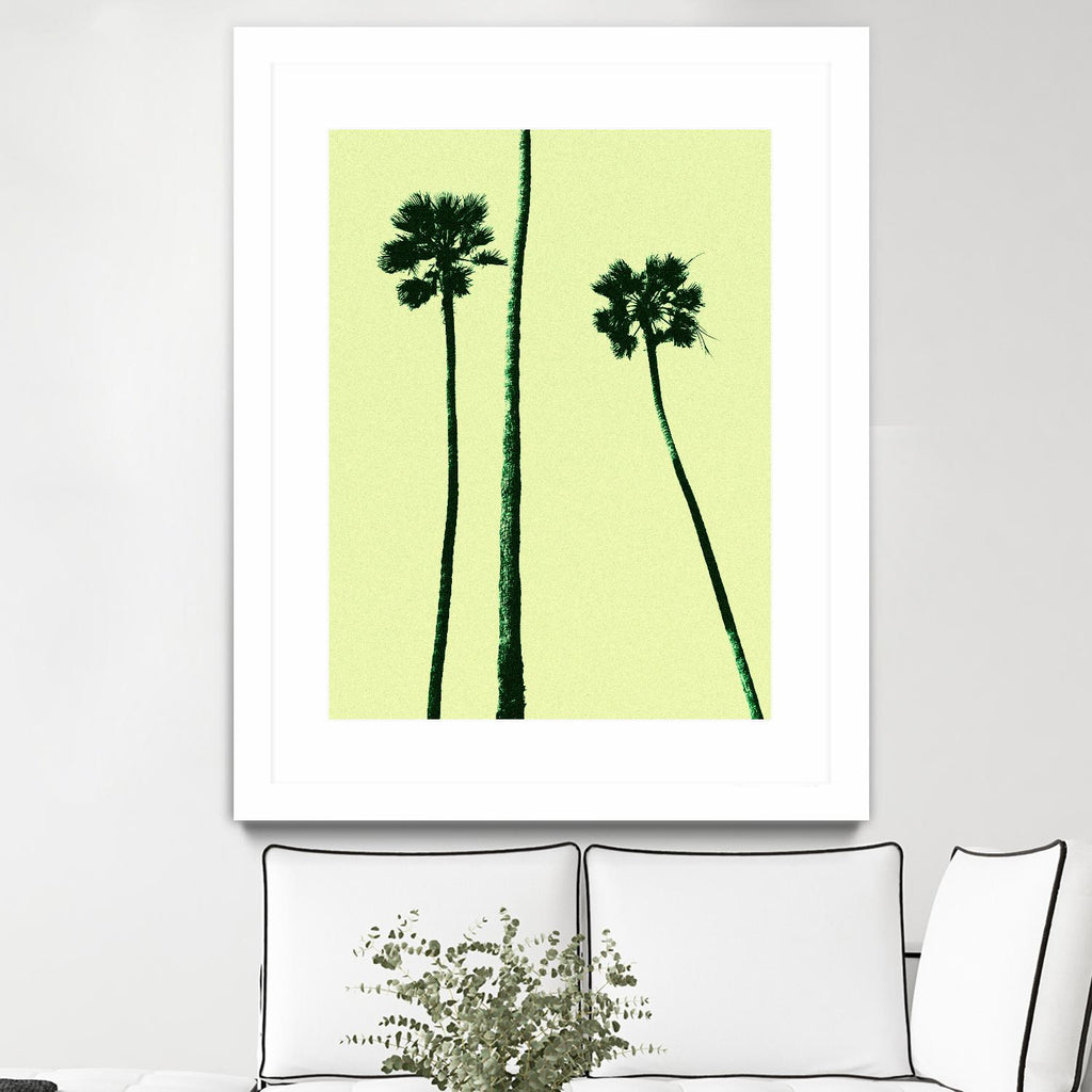 Palm Trees 2000 (Cyan) by Erik Asla on GIANT ART - multicolor photography; contemporary