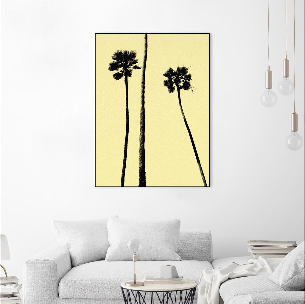 Palm Trees 2000 (Yellow) by Erik Asla on GIANT ART - multicolor photography; contemporary