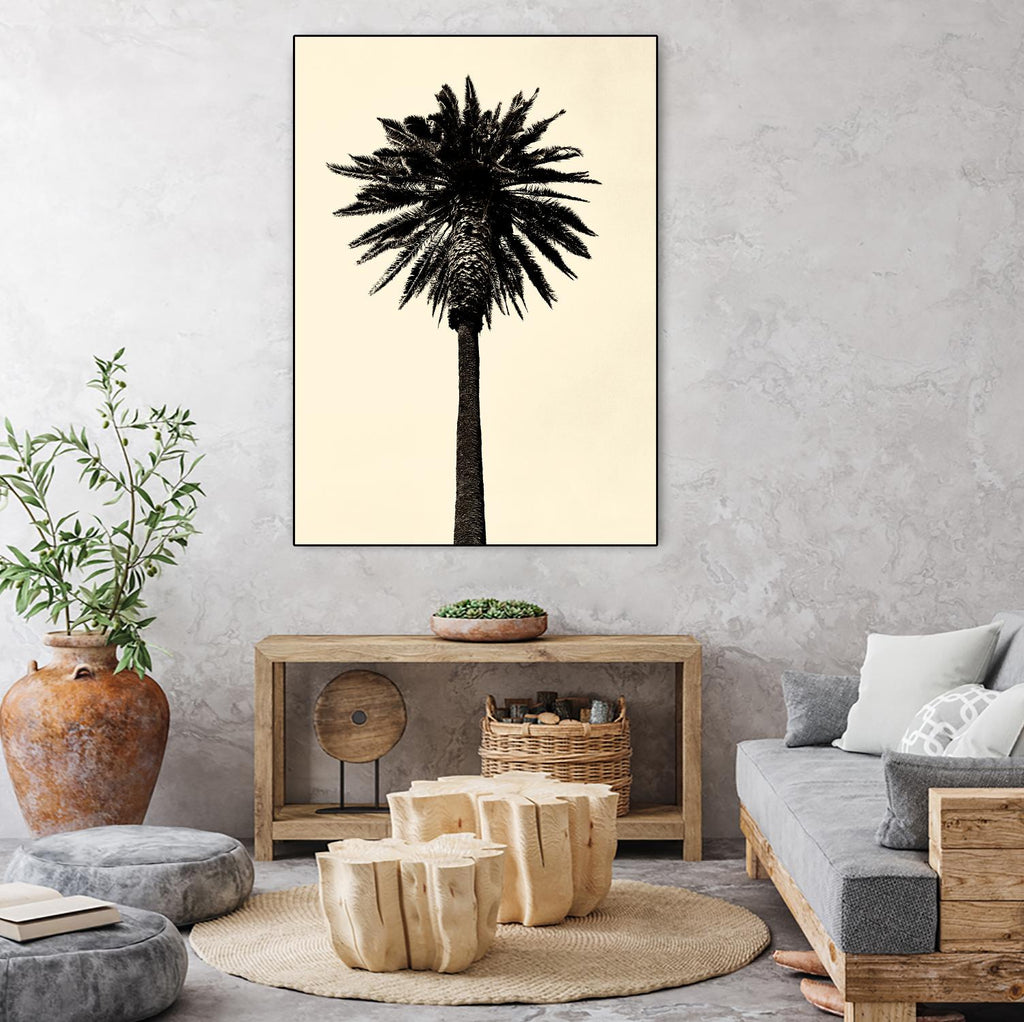 Palm Tree 1979 Tan by Erik Asla on GIANT ART - multicolor photography; contemporary