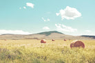 A Day in the Fields par Annie Bailey Art sur GIANT ART - paysages bleus, verts, photographie, nuages, fermes, collines