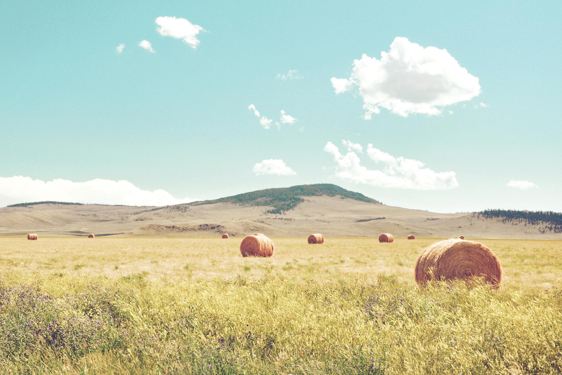 A Day in the Fields par Annie Bailey Art sur GIANT ART - paysages bleus, verts, photographie, nuages, fermes, collines