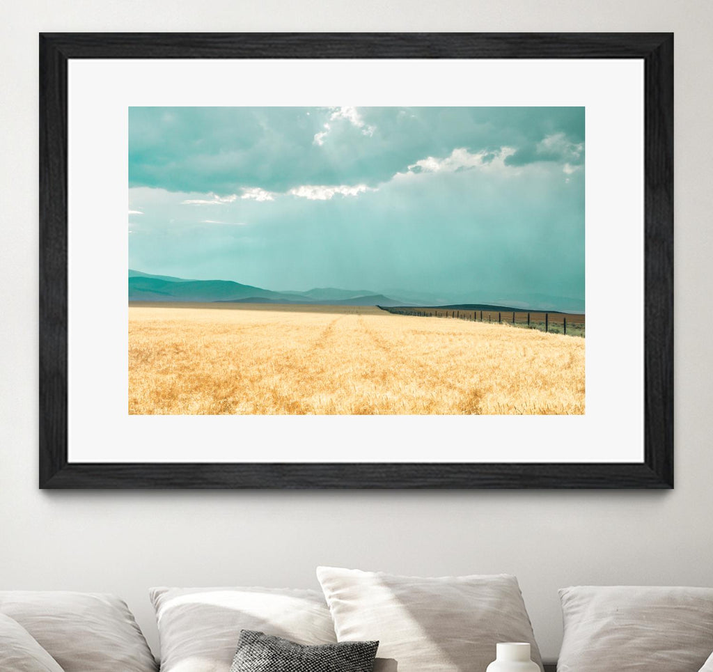 Harvest Shadow by Annie Bailey Art on GIANT ART - blue,beige landscapes, photography, farms, hills