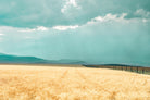 Harvest Shadow par Annie Bailey Art sur GIANT ART - bleu,beige paysages, photographie, fermes, collines