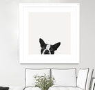 Loyalty by Jon Bertelli on GIANT ART - black,white photography, animals, dogs, humor