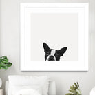 Loyalty by Jon Bertelli on GIANT ART - black,white photography, animals, dogs, humor