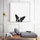 Loyalty by Jon Bertelli on GIANT ART - black,white photography, animals, dogs, humor