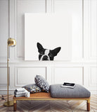 Loyalty by Jon Bertelli on GIANT ART - black,white photography, animals, dogs, humor