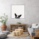 Loyalty by Jon Bertelli on GIANT ART - black,white photography, animals, dogs, humor