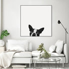 Loyalty by Jon Bertelli on GIANT ART - black,white photography, animals, dogs, humor