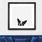 Loyalty by Jon Bertelli on GIANT ART - black,white photography, animals, dogs, humor