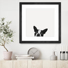 Loyalty by Jon Bertelli on GIANT ART - black,white photography, animals, dogs, humor