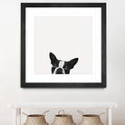 Loyalty by Jon Bertelli on GIANT ART - black,white photography, animals, dogs, humor