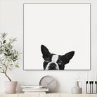 Loyalty by Jon Bertelli on GIANT ART - black,white photography, animals, dogs, humor