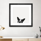 Loyalty by Jon Bertelli on GIANT ART - black,white photography, animals, dogs, humor