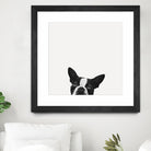Loyalty by Jon Bertelli on GIANT ART - black,white photography, animals, dogs, humor