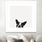 Loyalty by Jon Bertelli on GIANT ART - black,white photography, animals, dogs, humor