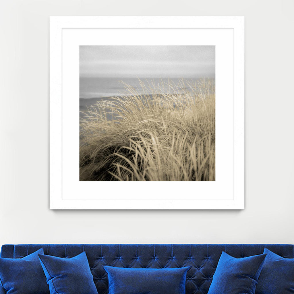 Tuscan Dunes #2A by Alan Blaustein on GIANT ART - multicolor photography; landscapes; coastal