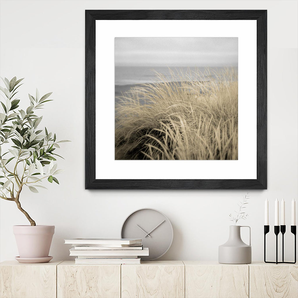 Tuscan Dunes #2A by Alan Blaustein on GIANT ART - multicolor photography; landscapes; coastal