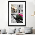 Canal Fiori #1 by Alan Blaustein on GIANT ART - multicolor photography; landscapes