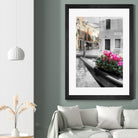 Canal Fiori #1 by Alan Blaustein on GIANT ART - multicolor photography; landscapes