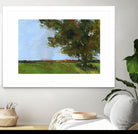 Autumn Oak and Empty Fields by Paul Bailey on GIANT ART - multicolor landscapes; contemporary