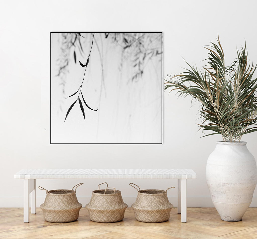 Willow Print No. 1 by Nicholas Bell on GIANT ART - multicolor photography