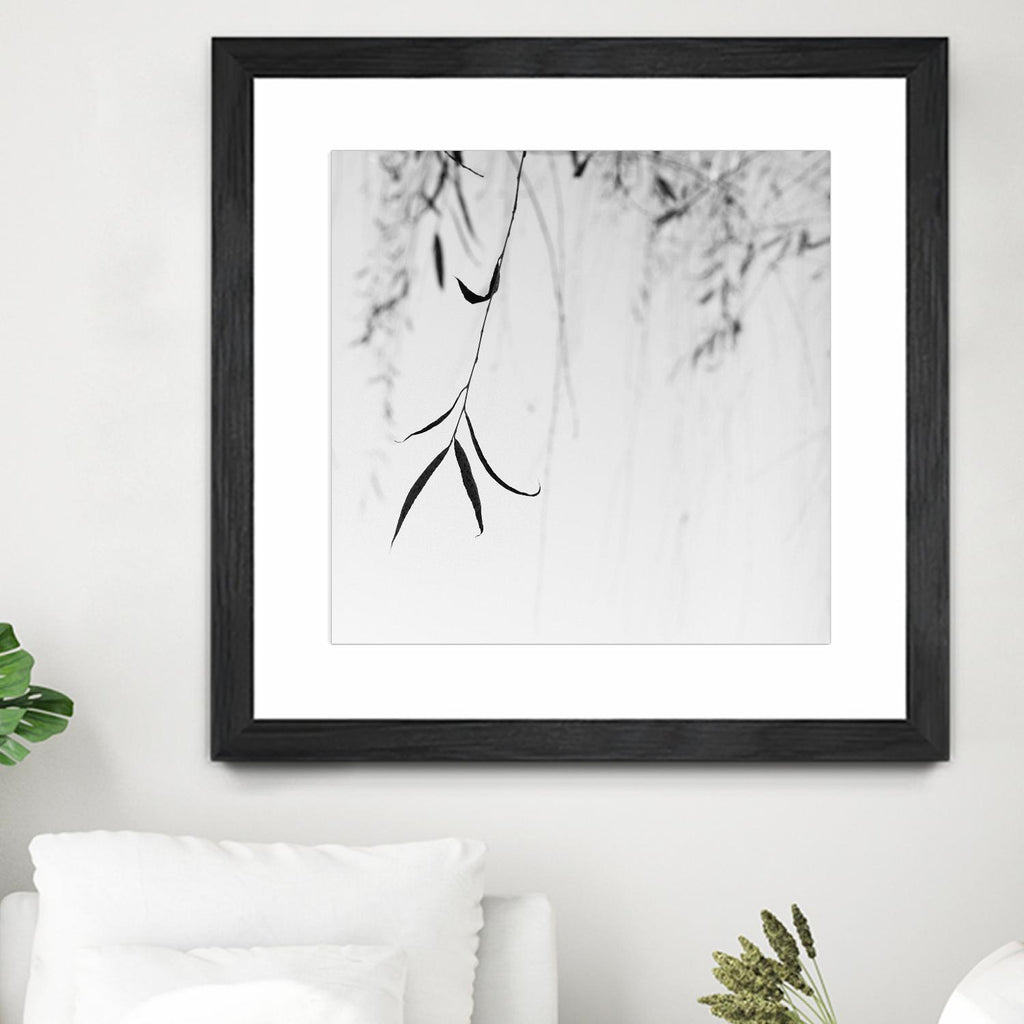 Willow Print No. 1 by Nicholas Bell on GIANT ART - multicolor photography