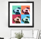 Que Pasa Pop by Jon Bertelli on GIANT ART - multicolor animals; photography; contemporary