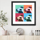 Que Pasa Pop by Jon Bertelli on GIANT ART - multicolor animals; photography; contemporary