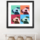 Que Pasa Pop by Jon Bertelli on GIANT ART - multicolor animals; photography; contemporary