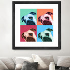 Que Pasa Pop by Jon Bertelli on GIANT ART - multicolor animals; photography; contemporary