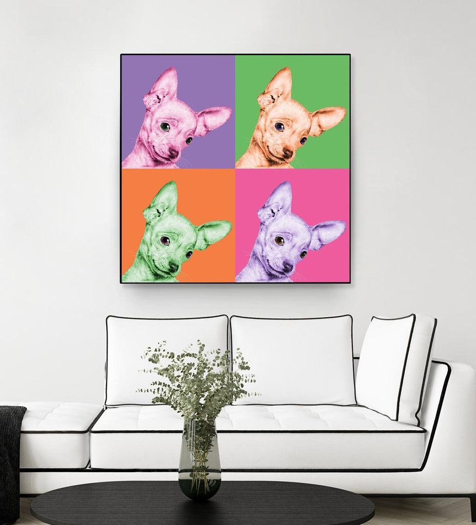 Sweet Chihuahua Pop by Jon Bertelli on GIANT ART - multicolor animals; photography; contemporary