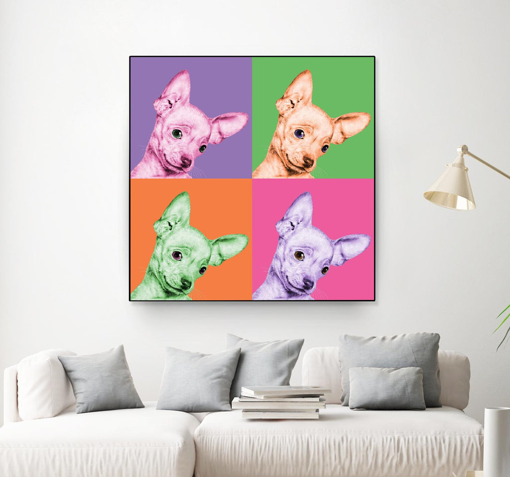 Sweet Chihuahua Pop by Jon Bertelli on GIANT ART - multicolor animals; photography; contemporary