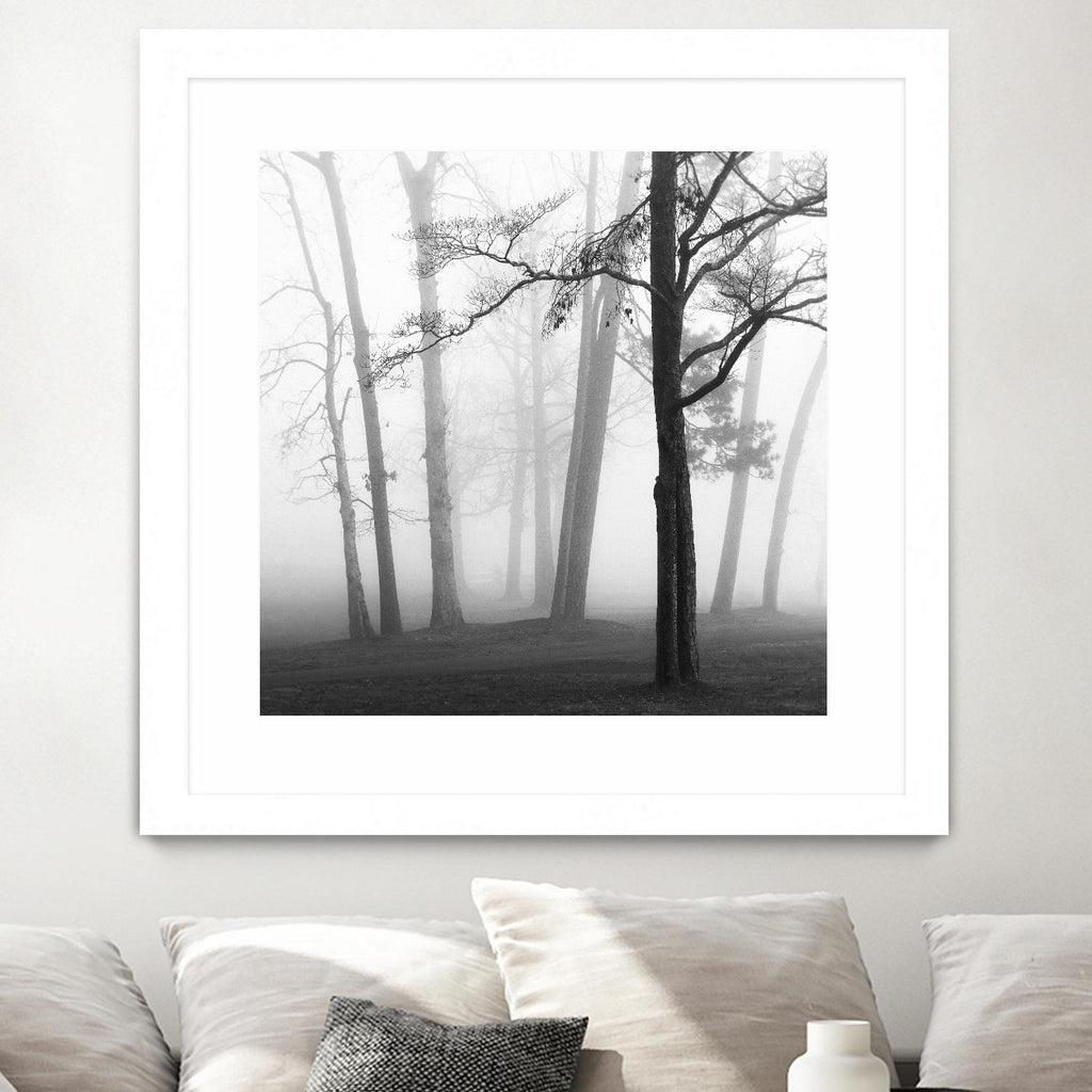 Etheral Trees by Nicholas Bell on GIANT ART - pink,orange landscapes, photography