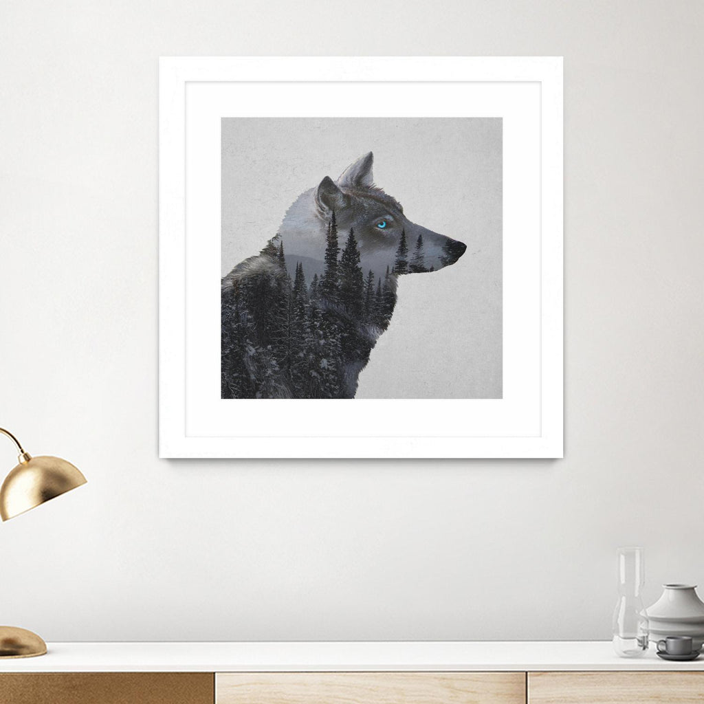 Winter Wolf by Davies Babies on GIANT ART - multicolor animals; contemporary