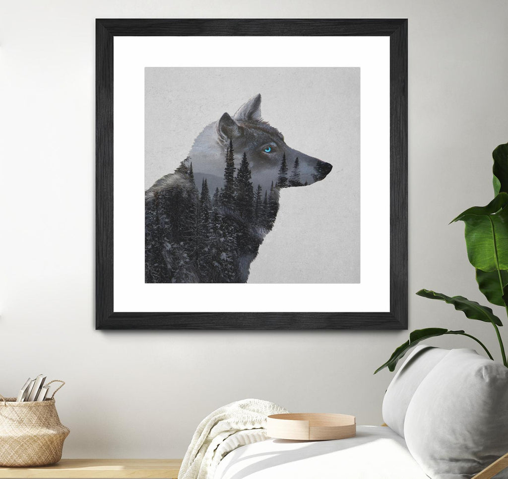 Winter Wolf by Davies Babies on GIANT ART - multicolor animals; contemporary