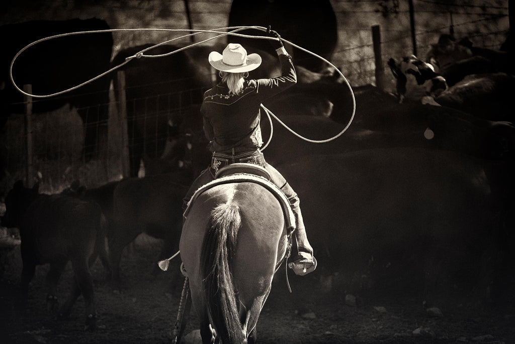 American Cowgirl par Lisa Dearing sur GIANT ART - photographie multicolore ; animaux ; figuratif